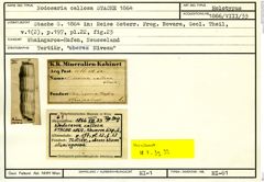 Karteikarte zum Holotyp von Nodosaria callosa Stache, 1864